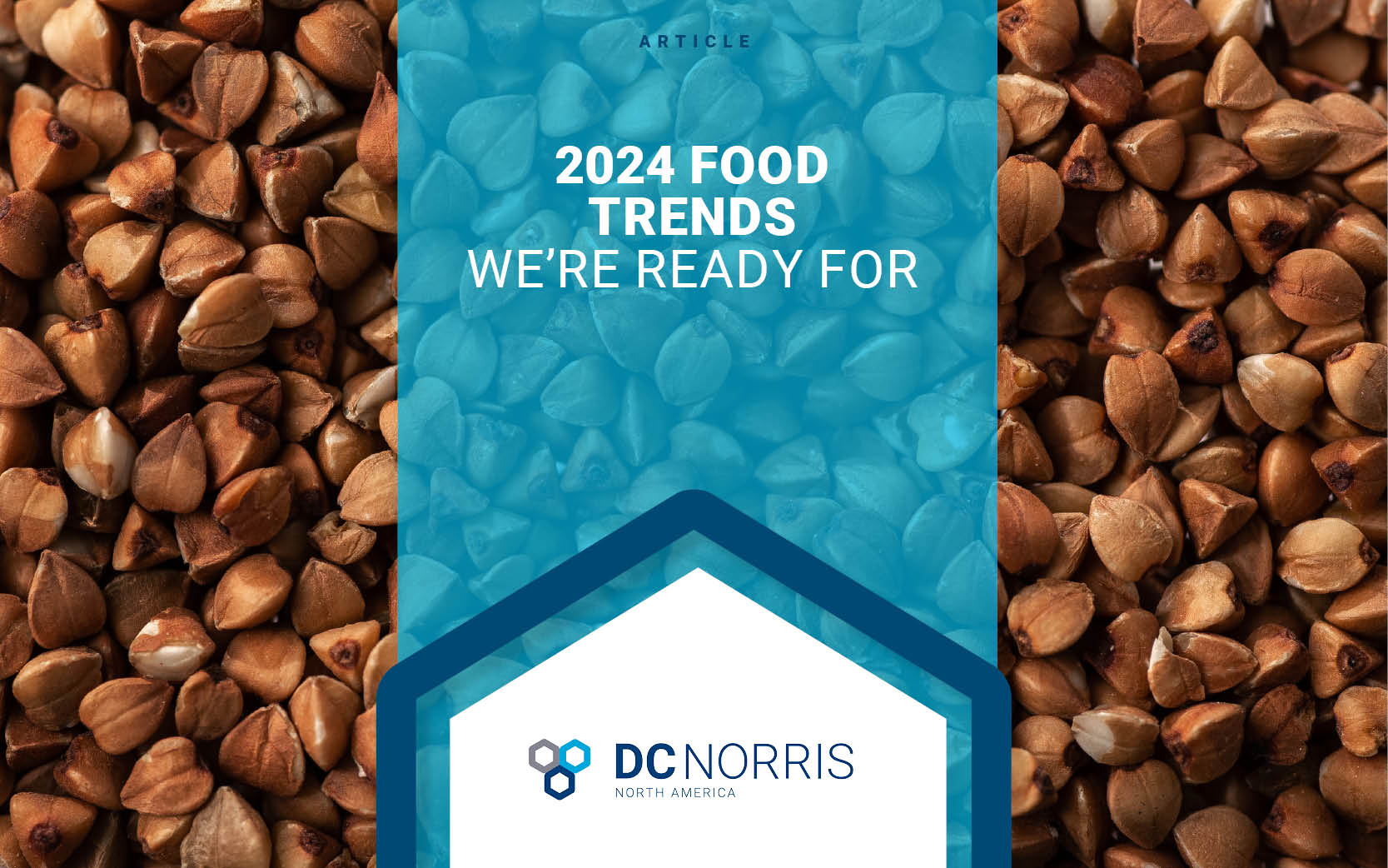 a thick layer of raw buckwheat makes up the background of this image behind a headline that reads 2024 Food Trends We're Ready for. The DC Norris North America logo is just below the headline.