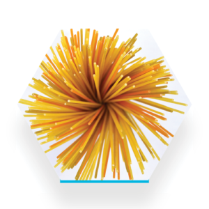 DC Norris North America has an industrial food processing equipment portfolio that includes cooking, quenching and cooling solutions for rice, vegetables and pasta