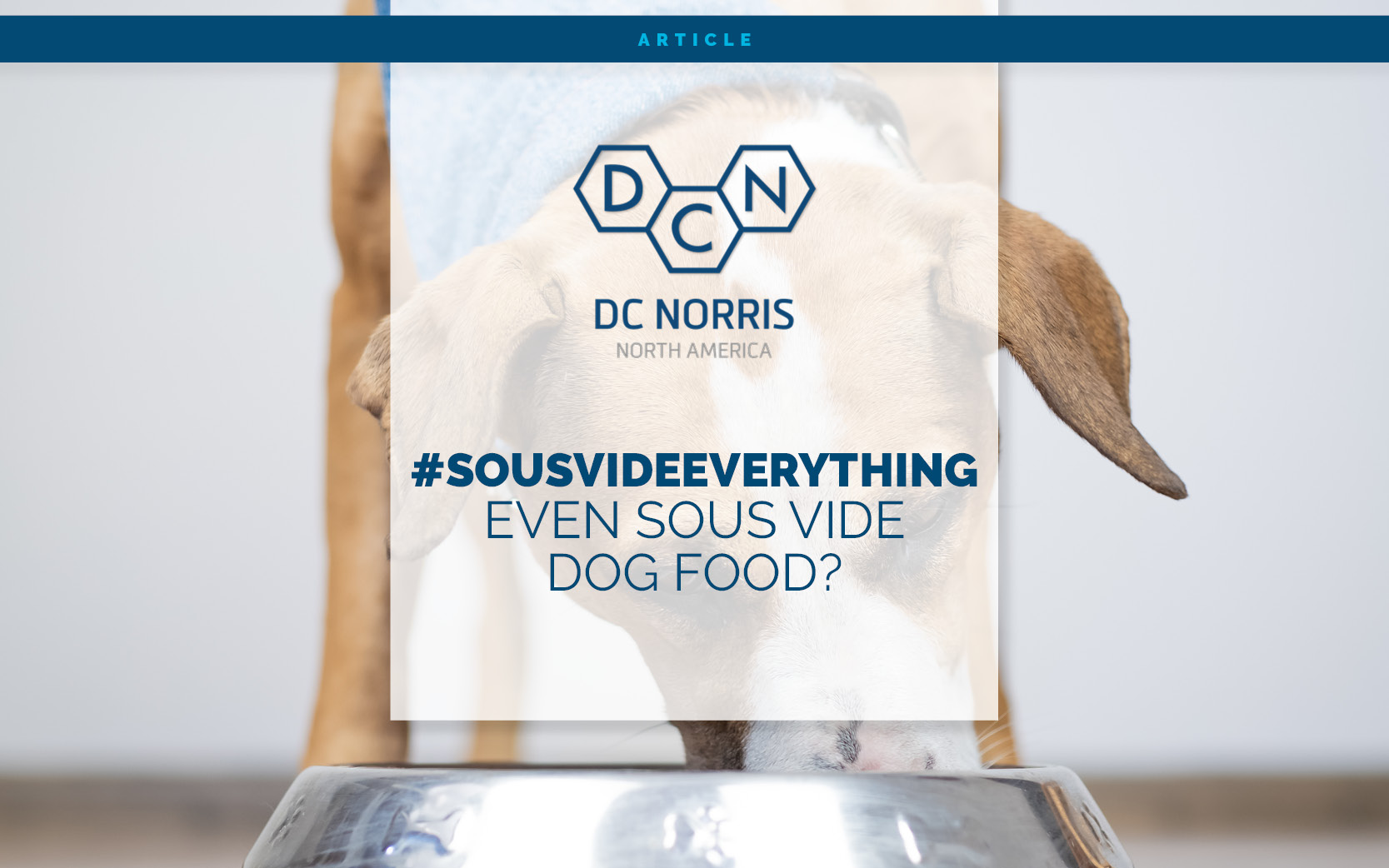 an image of a dog eating food from his stainless steel bowl. the headline reads '#sousvideeverything Even Sous Vide Dog Food?" and is below the DC Norris North America logo
