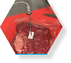 sous vide steak in vacuum sealed with temperature probe